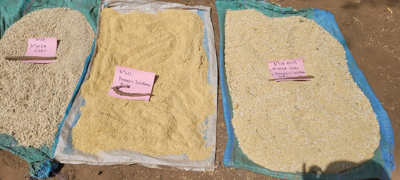 Communities find economic value in invasive trees Kenya World